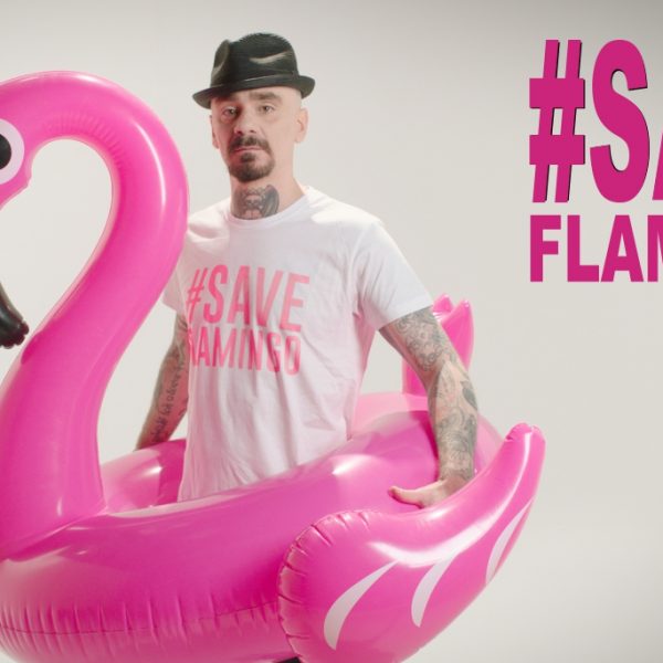 WWF, J-AX E ARMANDO TESTA INSIEME PER PROTEGGERE IL FENICOTTERO ROSA